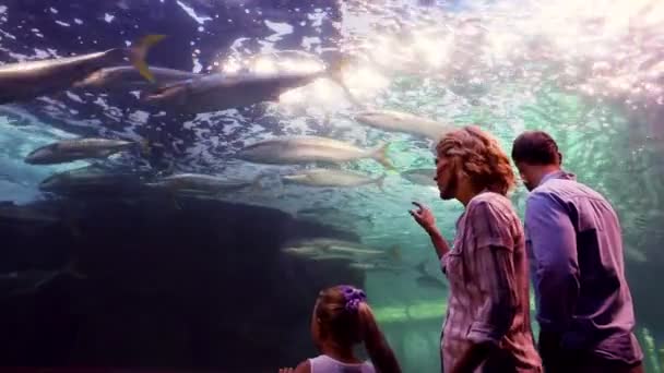 Familia feliz mirando peces — Vídeos de Stock