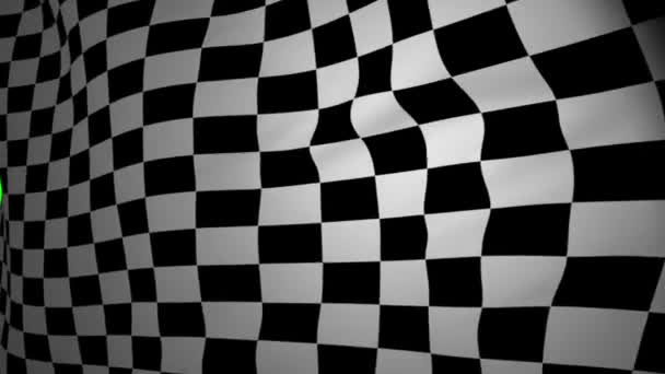 Checkered flag waving — Stock Video