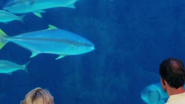 Família feliz olhando para tanque de peixe — Vídeo de Stock