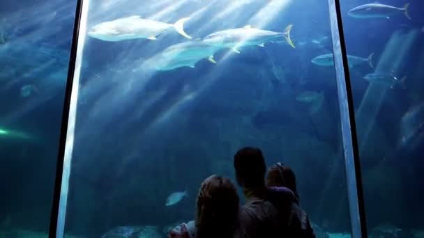 Família feliz olhando para peixes — Vídeo de Stock