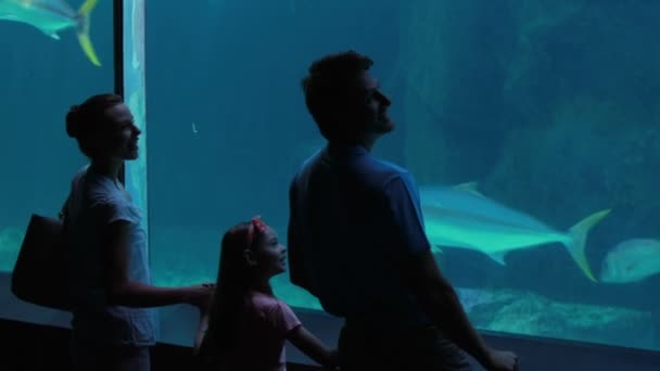 Familie schaut sich ein Fischbecken an — Stockvideo