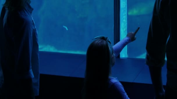 Famille heureuse regardant aquarium — Video