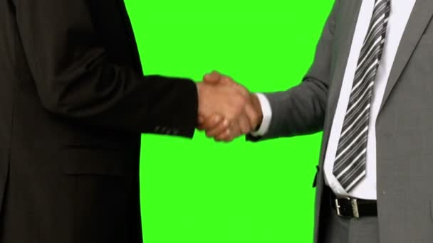 Businessmen shaking hands — Stock Video