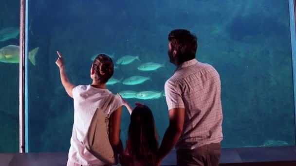 Familia feliz mirando peces en el tanque — Vídeos de Stock