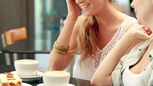 Blonde friends discussing in cafeteria — Stock Video