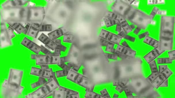 Animación de dinero en pantalla verde — Vídeo de stock