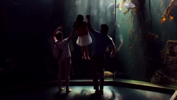 Счастливая семья смотрит на рыбу в аквариуме — стоковое видео