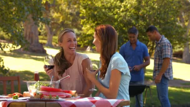 Vrienden drinken in het park en glimlachen op camera — Stockvideo