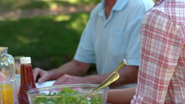 Familia haciendo picnic en el parque — Vídeos de Stock