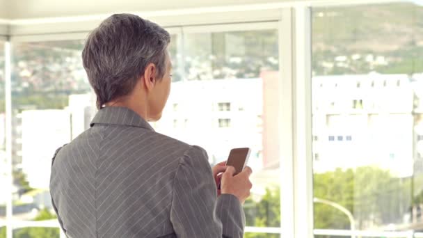 Mujer de negocios usando su teléfono inteligente — Vídeo de stock