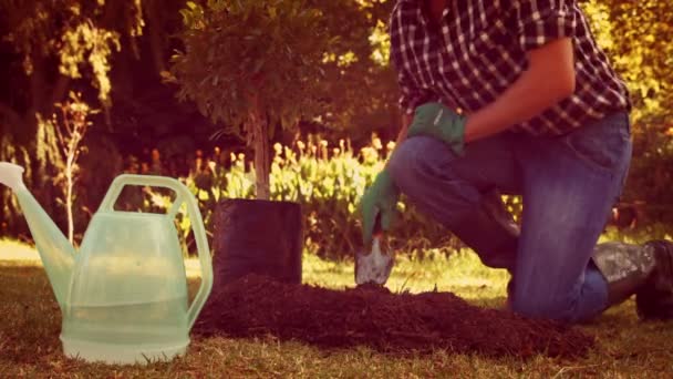 Jardinería del hombre en el parque — Vídeo de stock