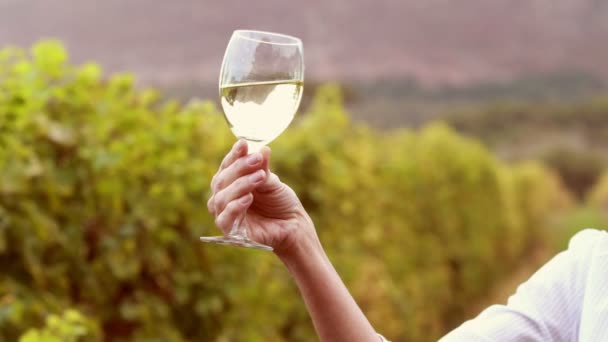 Feminino viticultor rodopiando um copo de vinho branco — Vídeo de Stock