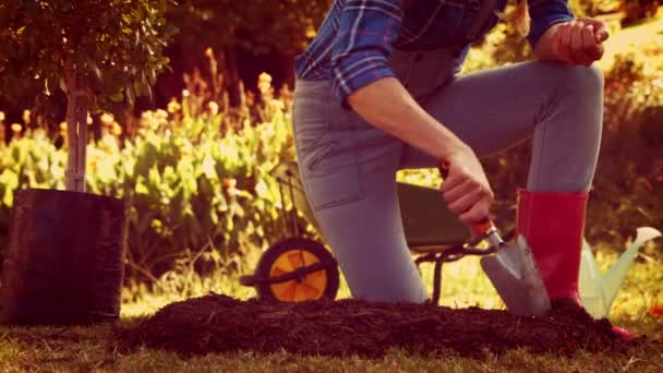 Vrouw graven van bodem en planten bloem — Stockvideo