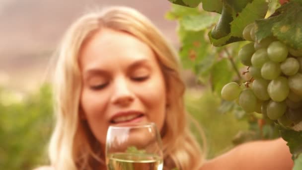 Blond riechender Wein in Zeitlupe — Stockvideo