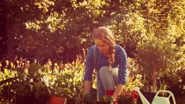Jardineiro mostrando vaso de flores — Vídeo de Stock