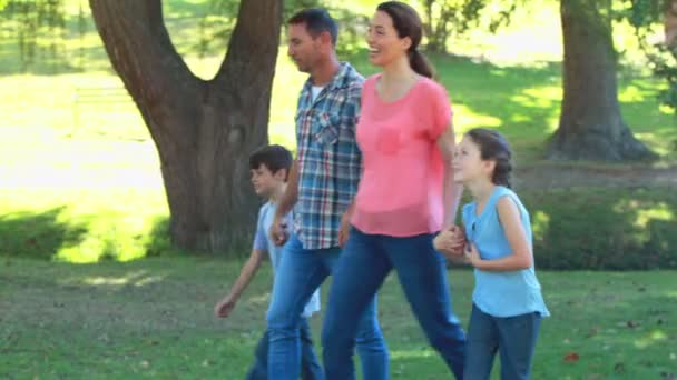 Heureuse famille marchant dans le parc — Video