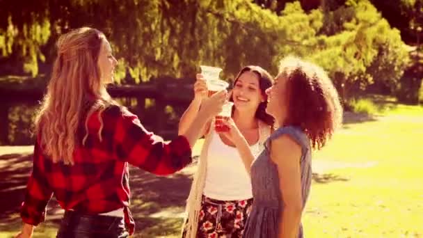 Друзья в парке пьют пиво — стоковое видео