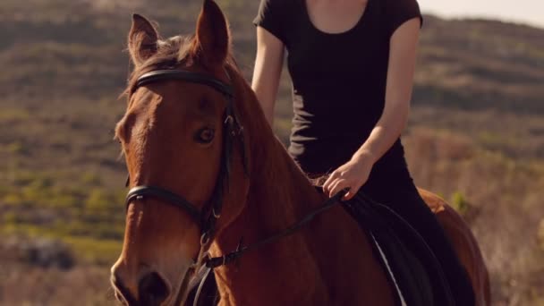 Mujer montando a caballo — Vídeo de stock