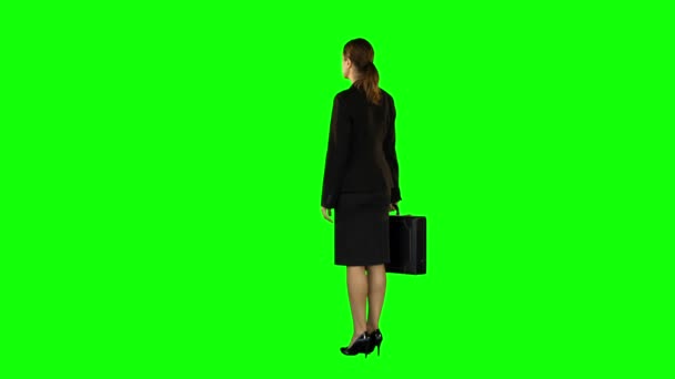 Ділова жінка стоїть з портфелем — стокове відео
