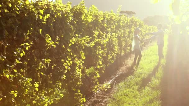 Couple dancing between grapevine — Stock Video