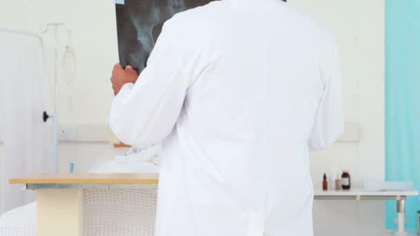 Носити перегляд лікар, дивлячись на Xray — стокове відео