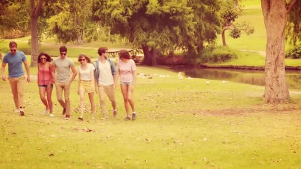 Grupo de amigos caminando en el parque — Vídeos de Stock