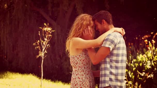 Pareja feliz abrazándose en el parque — Vídeos de Stock