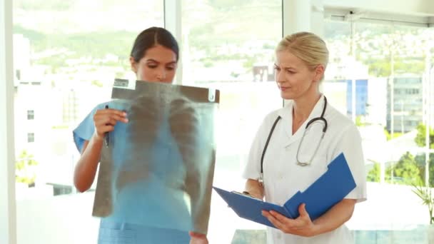 Двоє лікарів дивляться на рентген — стокове відео