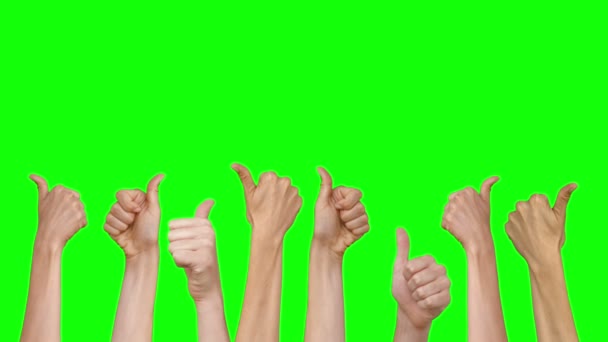 Many hands showing thumbs up — Stock Video