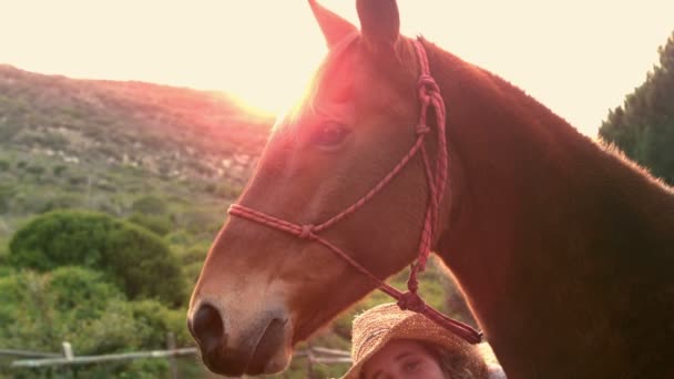 Mujer acariciando caballo — Vídeo de stock