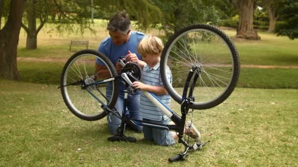 Far och hans son fastställande en cykel — Stockvideo