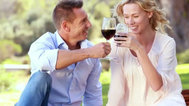 Paar stößt an und trinkt Rotwein — Stockvideo