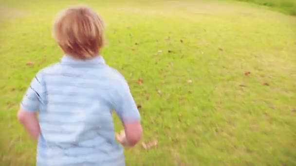 Маленький хлопчик біжить в парку — стокове відео
