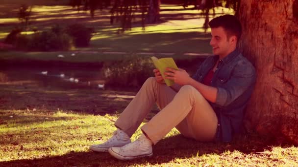 Hombre leyendo un libro apoyado en un árbol — Vídeos de Stock