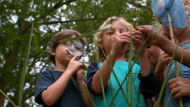 Enfants heureux dans le parc ensemble — Video