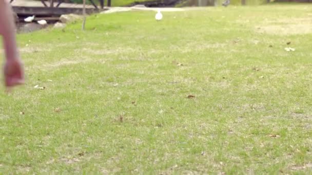 Happy little girl walking on grass — Stock Video