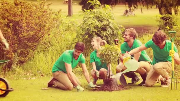 Amigos jardinería para la comunidad — Vídeo de stock