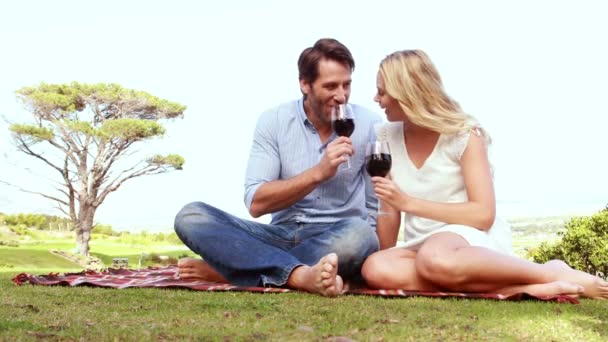 Casal brindar e beber vinho tinto — Vídeo de Stock