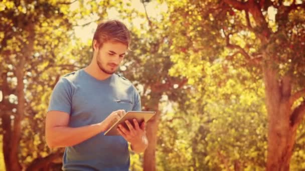 Muž používající tablet v parku — Stock video