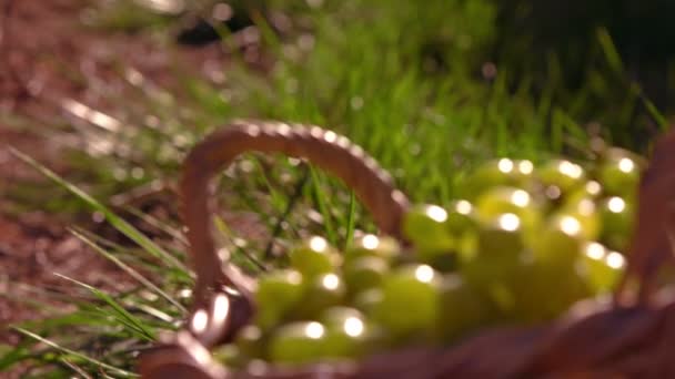 Grapes in a basket in slow motion — Stock Video