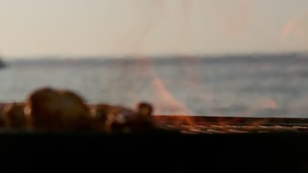 Шампури на барбекю при повільному русі — стокове відео