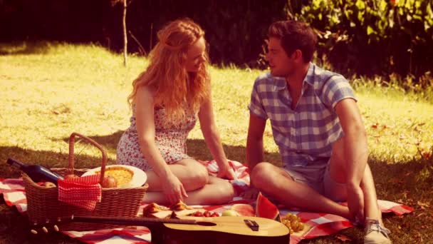 Pareja abrazándose durante el picnic — Vídeos de Stock