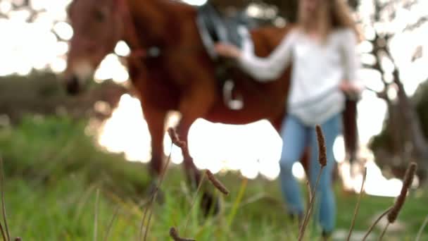 Mujer de pie junto a Caballo — Vídeos de Stock