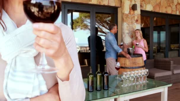 Lachende vrouw die een rode wijn glas drinken — Stockvideo