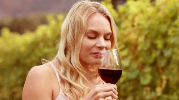Mulher sorridente a cheirar um copo de vinho tinto — Vídeo de Stock