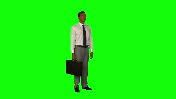 Uomo d'affari in piedi con la valigetta — Video Stock
