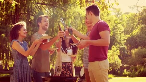 Freunde im Park grillen — Stockvideo