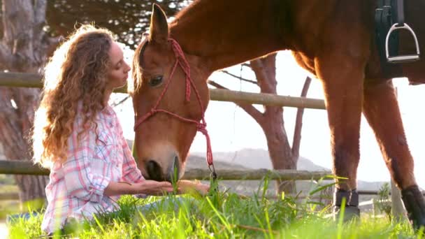 Femme nourrissant cheval — Video