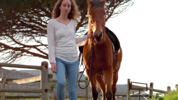 Женщина ходит с лошадью — стоковое видео
