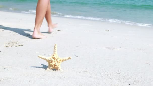 Mujer y estrella de mar en la playa — Vídeo de stock